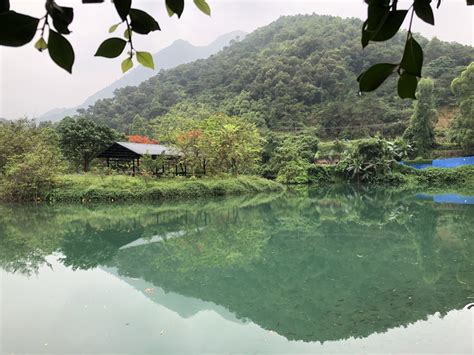 肇慶紫雲谷|肇慶紫雲谷旅遊攻略簡介2024